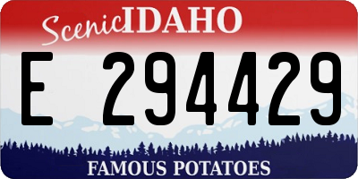 ID license plate E294429