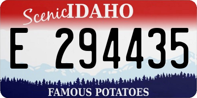 ID license plate E294435