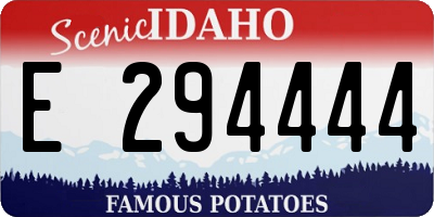 ID license plate E294444