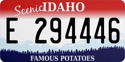 ID license plate E294446