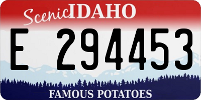 ID license plate E294453