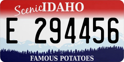 ID license plate E294456