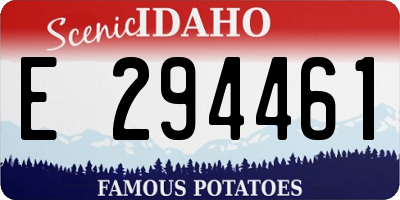 ID license plate E294461