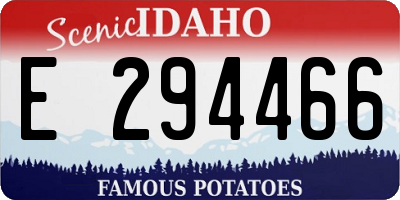 ID license plate E294466