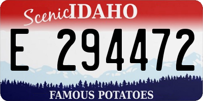 ID license plate E294472
