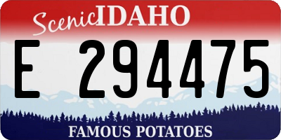 ID license plate E294475