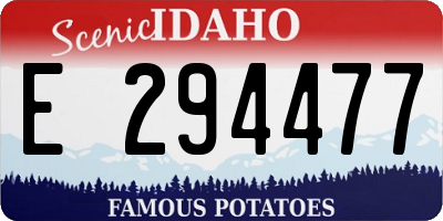 ID license plate E294477
