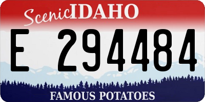 ID license plate E294484