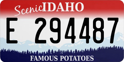 ID license plate E294487