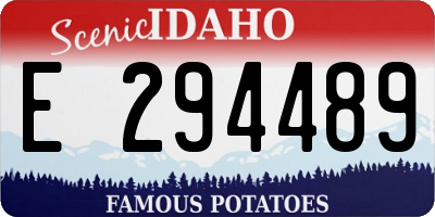 ID license plate E294489