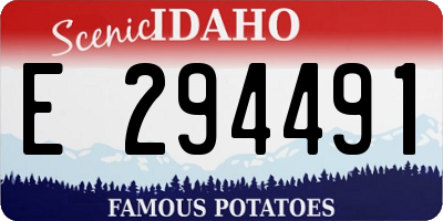 ID license plate E294491