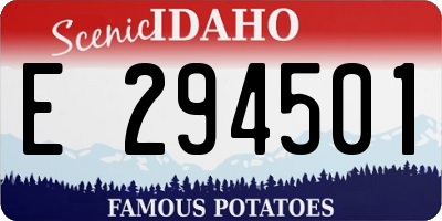 ID license plate E294501