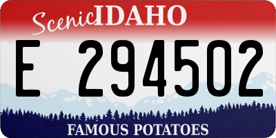 ID license plate E294502