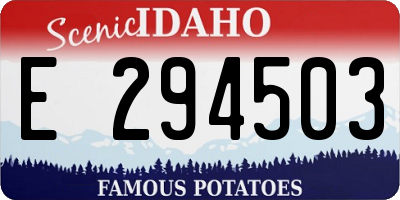 ID license plate E294503