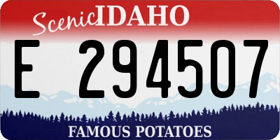 ID license plate E294507