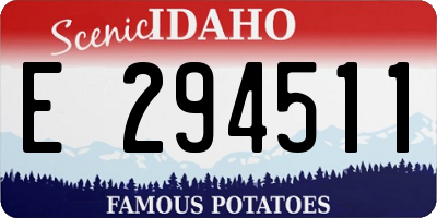 ID license plate E294511