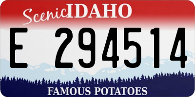 ID license plate E294514
