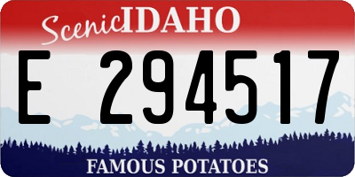 ID license plate E294517