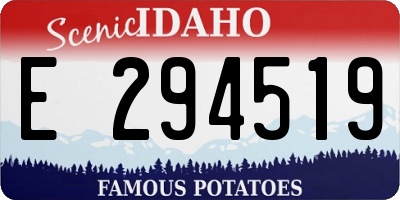 ID license plate E294519