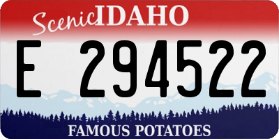 ID license plate E294522