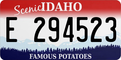 ID license plate E294523