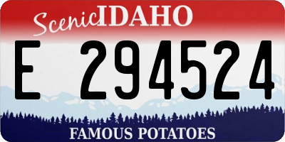 ID license plate E294524