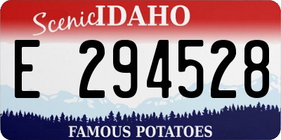 ID license plate E294528