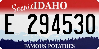 ID license plate E294530