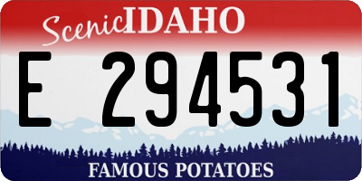 ID license plate E294531