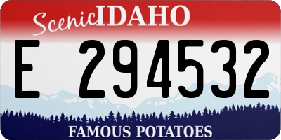 ID license plate E294532