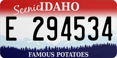 ID license plate E294534