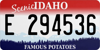 ID license plate E294536