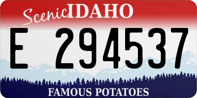 ID license plate E294537