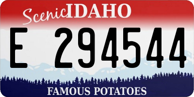 ID license plate E294544