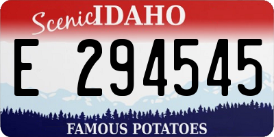 ID license plate E294545