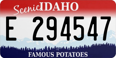 ID license plate E294547