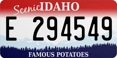 ID license plate E294549