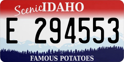 ID license plate E294553