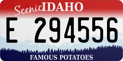 ID license plate E294556