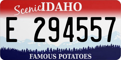 ID license plate E294557
