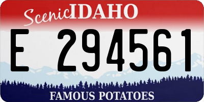 ID license plate E294561