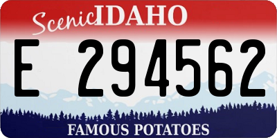 ID license plate E294562