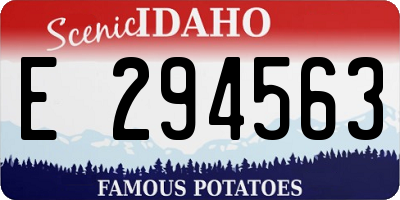 ID license plate E294563