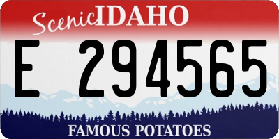 ID license plate E294565