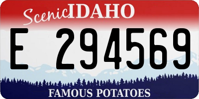 ID license plate E294569
