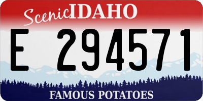 ID license plate E294571