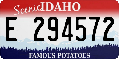 ID license plate E294572