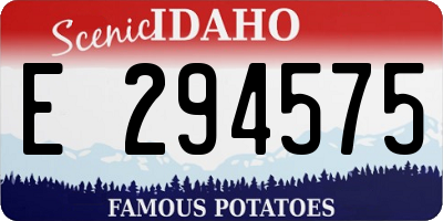 ID license plate E294575