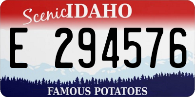 ID license plate E294576
