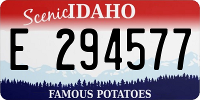 ID license plate E294577